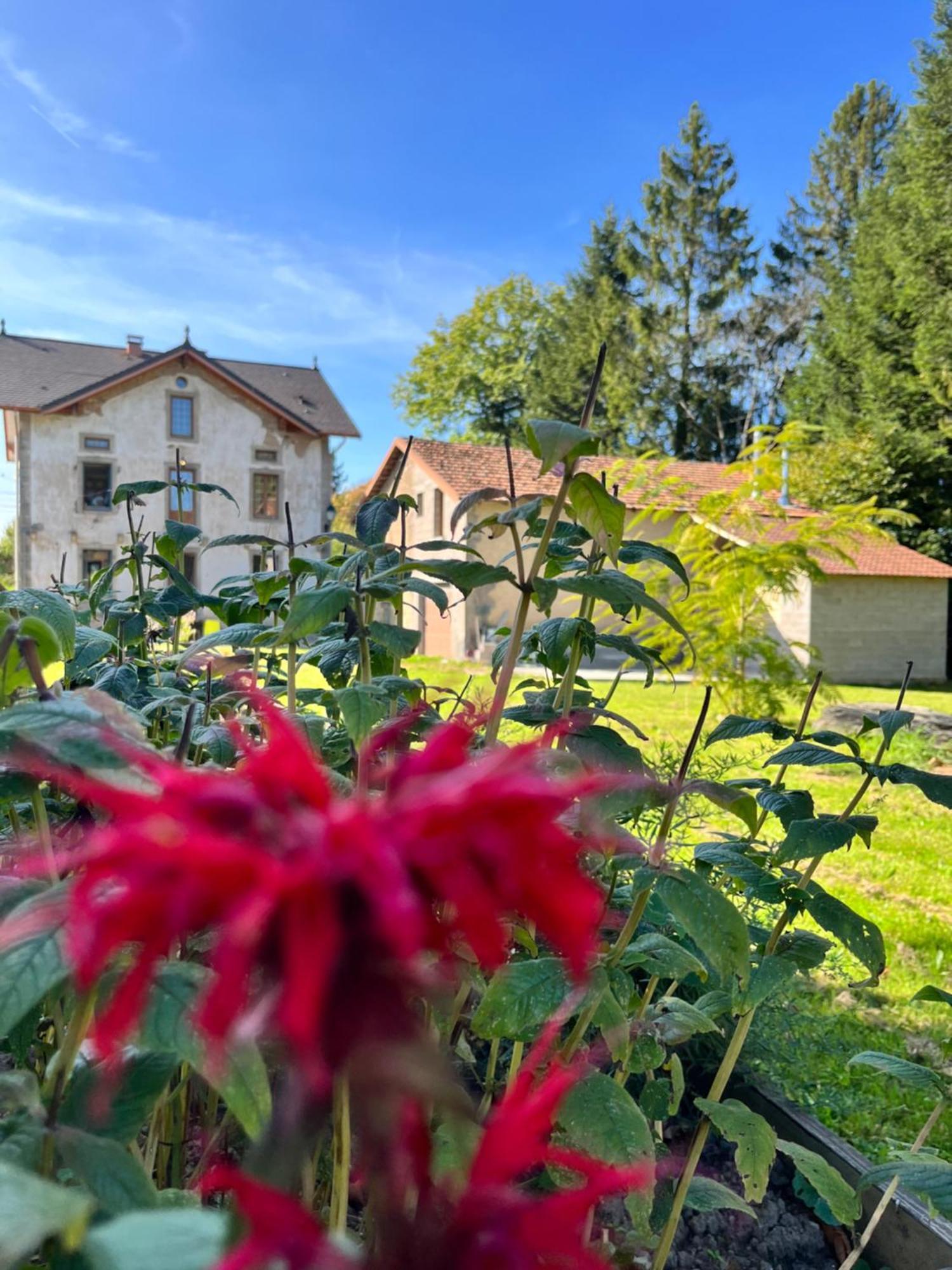 Chambre D'Hote Cosy Domaine Du Bagnerot La Chapelle-aux-Bois エクステリア 写真