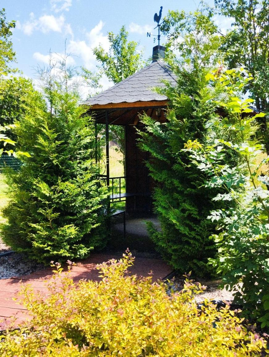 Chambre D'Hote Cosy Domaine Du Bagnerot La Chapelle-aux-Bois エクステリア 写真